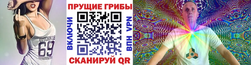 Купить где Чусовой Псилоцибиновые грибы мицелий
